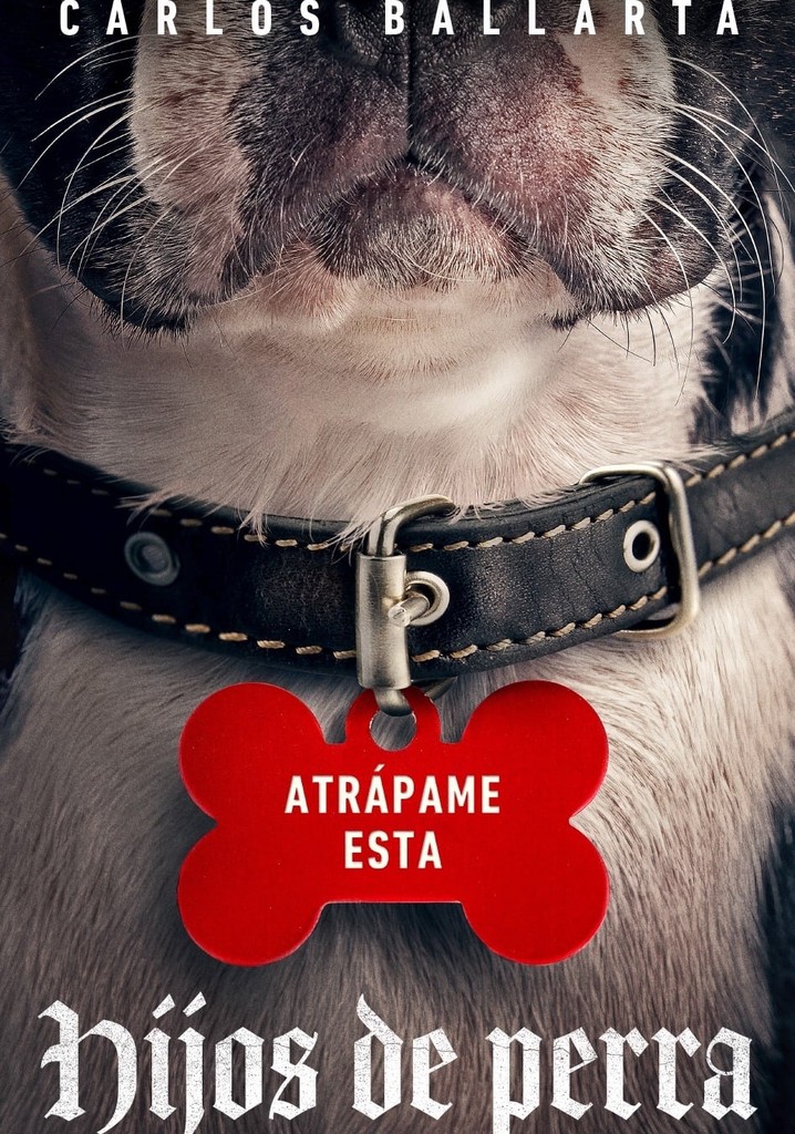 Strays película Ver online completas en español